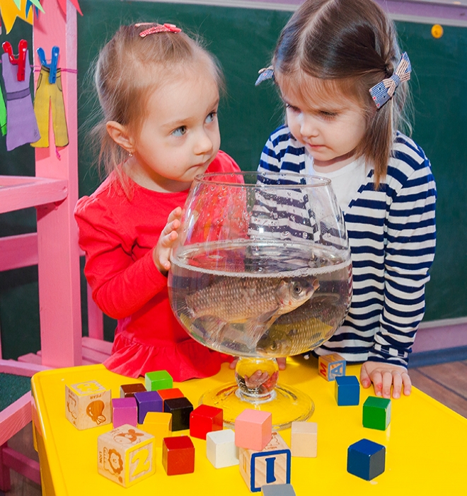 маленькі чомусики