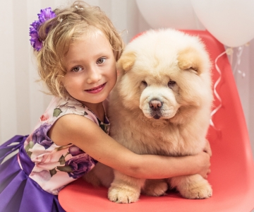 Фотосесія з песиками Школи Моделей