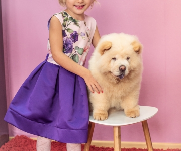 Фотосесія з песиками Школи Моделей