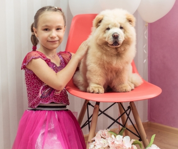 Фотосесія з песиками Школи Моделей