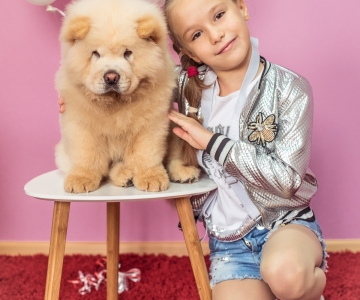 Фотосесія з песиками Школи Моделей