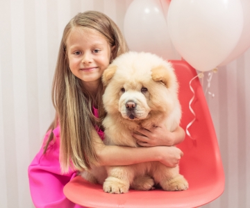 Фотосесія з песиками Школи Моделей