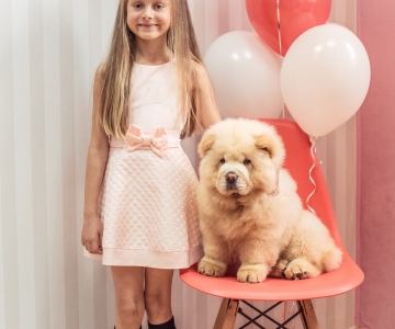 Фотосесія з песиками Школи Моделей