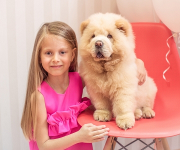 Фотосесія з песиками Школи Моделей