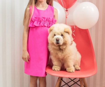 Фотосесія з песиками Школи Моделей