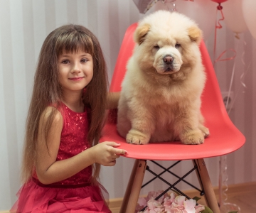 Фотосесія з песиками Школи Моделей