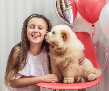 Фотосесія з песиками Школи Моделей