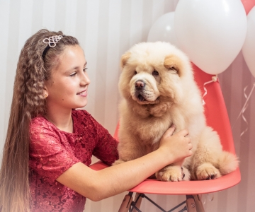 Фотосесія з песиками Школи Моделей