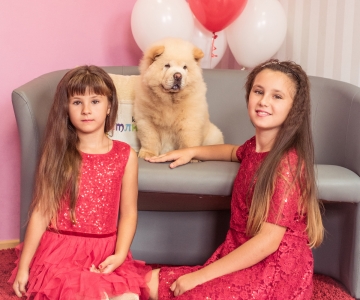 Фотосесія з песиками Школи Моделей