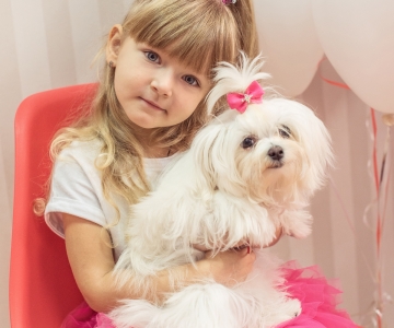 Фотосесія з песиками Школи Моделей