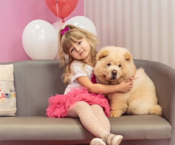 Фотосесія з песиками Школи Моделей