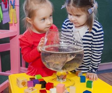 маленькі чомусики