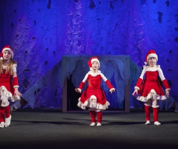 мюзикл Крижане серце