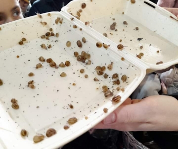 Подорож на равликову ферму