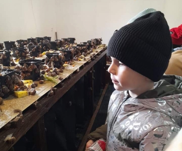 Подорож на равликову ферму