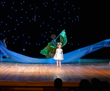 Шоу ФАНТАСТИЧНІ ДІТИ - Конкурс "Принц і Принцеса - 2019!"