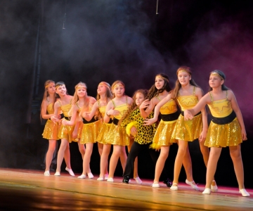 Шоу ФАНТАСТИЧНІ ДІТИ - Конкурс "Принц і Принцеса - 2019!"