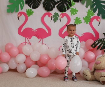 Вечірка Фламінго