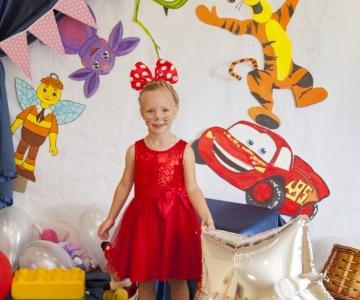 Вечірка Шоу Героїв у Світлинці