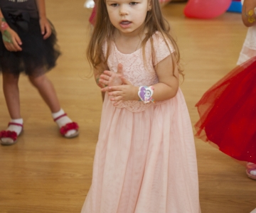 Вечірка Шоу Героїв у Світлинці