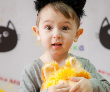 Вечірка в стилі "Мяу"